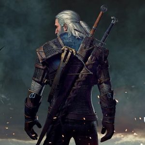 The Witcher