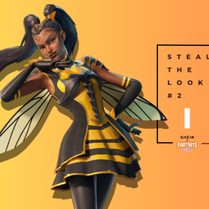 Steal the look 2